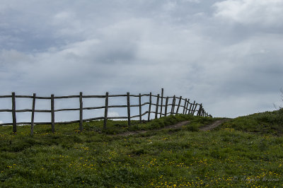 Parco di Vulci