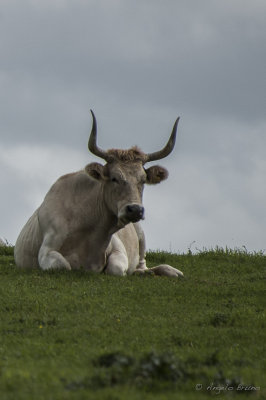 Parco di Vulci