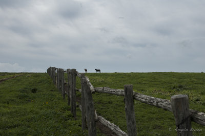 Parco di Vulci