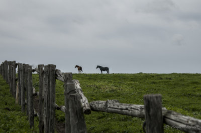 Parco di Vulci