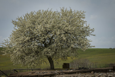 Parco di Vulci