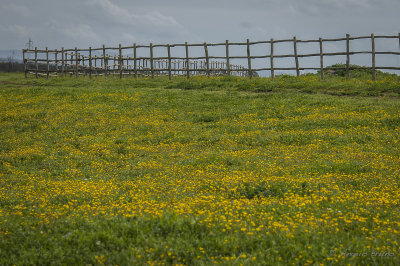 Parco di Vulci