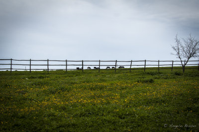 Parco di Vulci