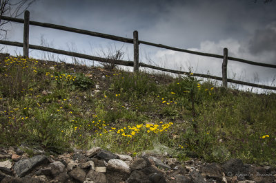 Parco di Vulci