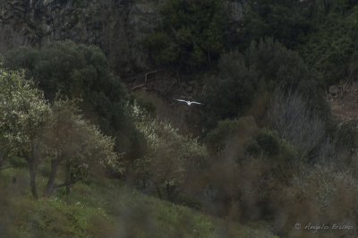 Parco di Vulci