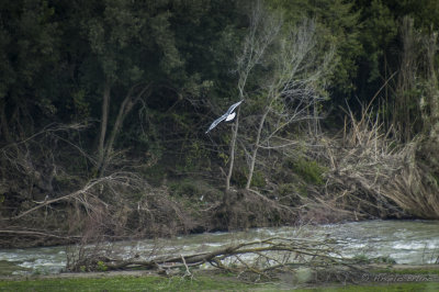Parco di Vulci