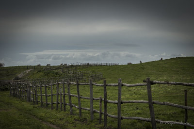 Parco di Vulci