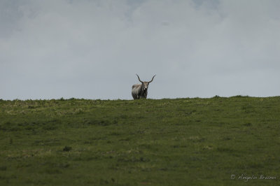 Parco di Vulci