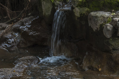 Parco di Vulci