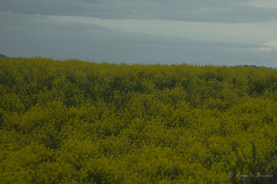 Parco di Vulci