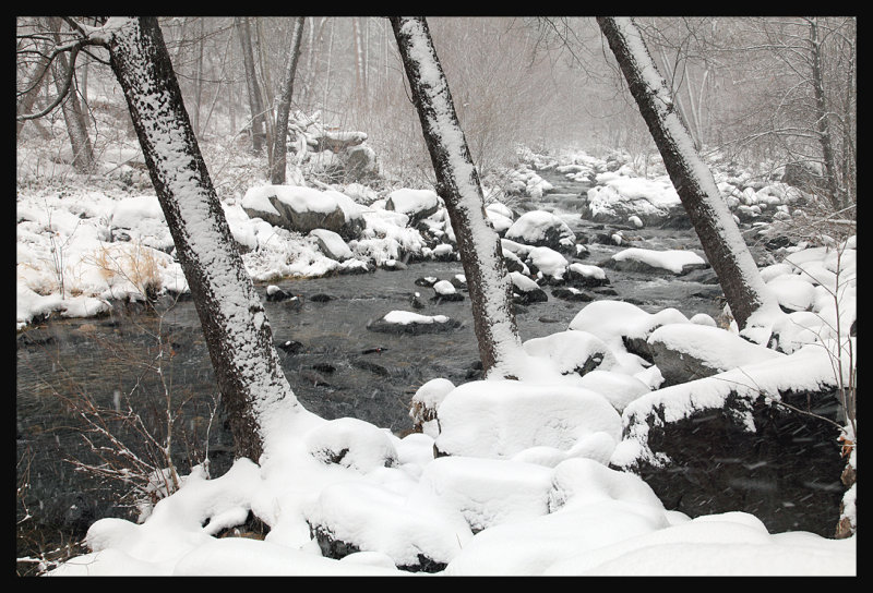 Winter at the Creek