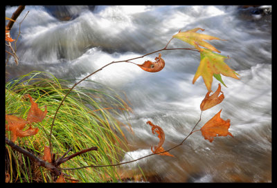 Arizona in Autumn