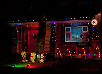 Christmas Fun