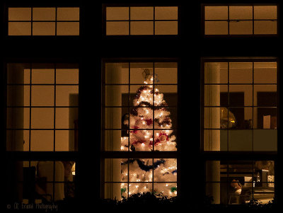 Through the Window