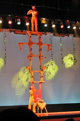 THE CIRCUS