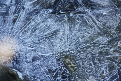 Crackled Ice #3