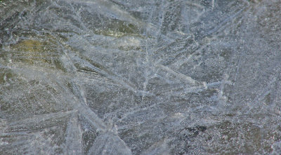 Crackled Ice #2