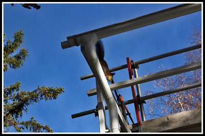 g2/78/945278/3/146955054.sPCq1ZG0.jpg