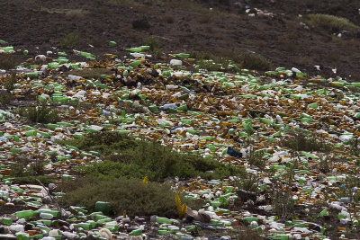Soptipp vid fyren Ponta do SolFine garbage dump behind a sand hill near Ponta do Sol