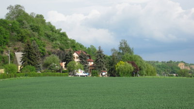 IMG_2490.jpg