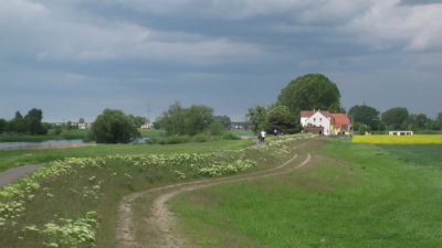 IMG_2486.jpg