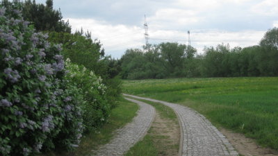 IMG_2485.jpg