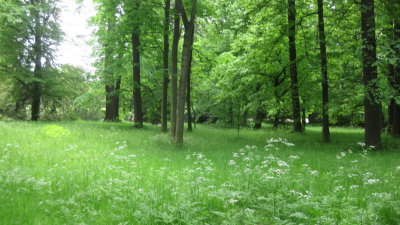 IMG_2542.jpg