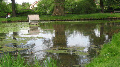 IMG_2539.jpg