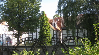 IMG_2596.jpg