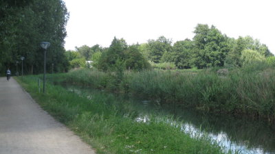 IMG_2589.jpg