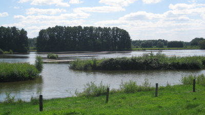 IMG_2583.jpg