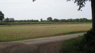 IMG_2629.jpg