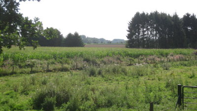 IMG_2627.jpg