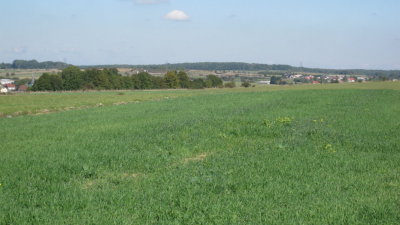 IMG_2724.jpg