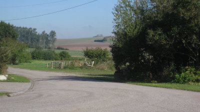 IMG_2705.jpg
