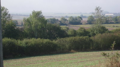 IMG_2699.jpg