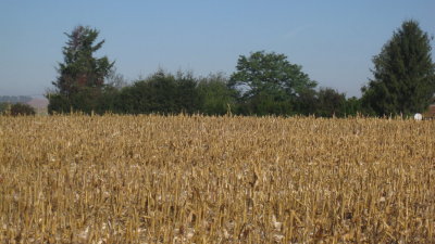 IMG_2697.jpg