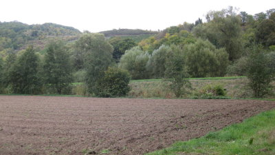 IMG_2765.jpg