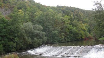 IMG_2762.jpg