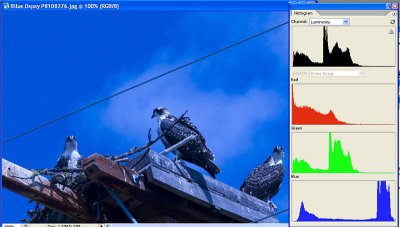 Frame 2 - Blue RAW  Histo.jpg