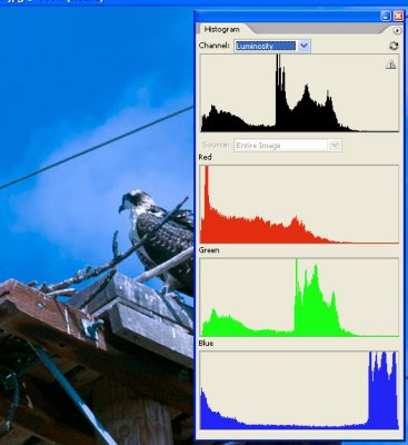 Frame 7 Histogram Altered Image.jpg