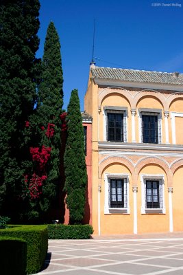 0505AlczarBuganvilla679