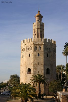 0512TorreOro_Tag868