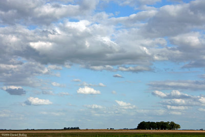 Pampa/Patagonia