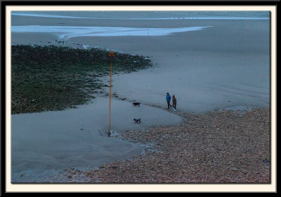 Early Morning Dog Walkers