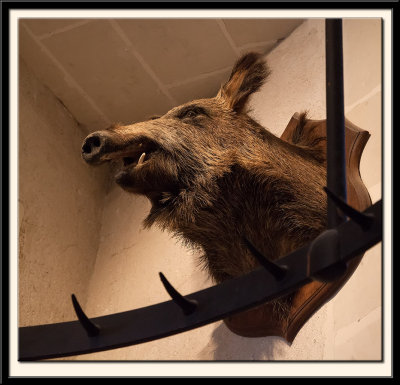 Wild Boar with Meat Hooks