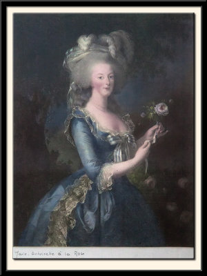 Marie Antoinette a la Rose
