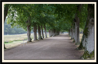 The Avenue to the Deer Park