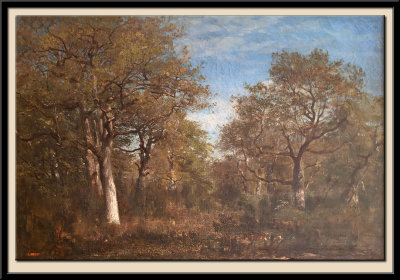 Paysage, Foret de Fontainebleau