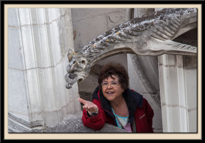 Please Don't  Feed the Gargoyles!